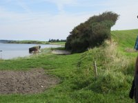 2017-09-05 11-48-41 - IMG 4043  De to vindmøller ved den vestlige pynt
